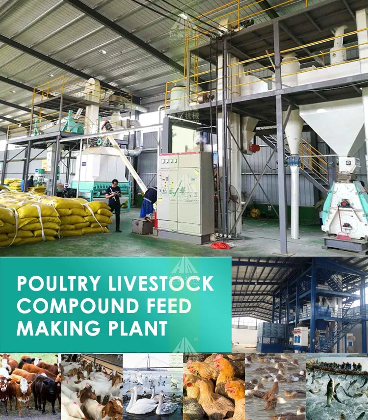 Poultry Food Machine Animal Feed Pellet Mill Plant for Chicken, Pig, Sheep