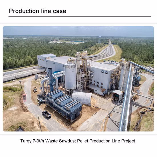 Factory Price High Output Vertical Ring Die Biomass Pellet Production Line